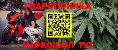 соль ск Новодвинск