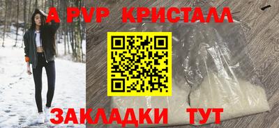 соль ск Новодвинск