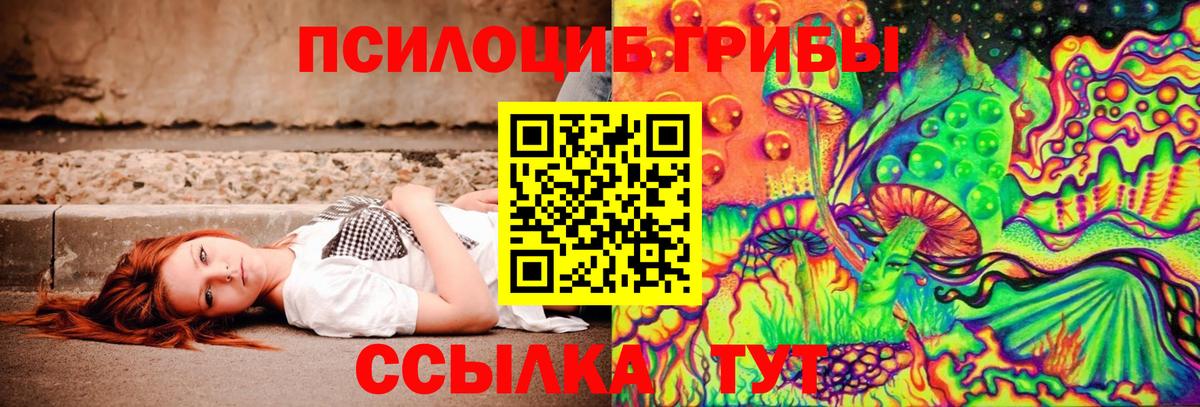 Псилоцибиновые грибы GOLDEN TEACHER  Вход с VPN  Тамбов 