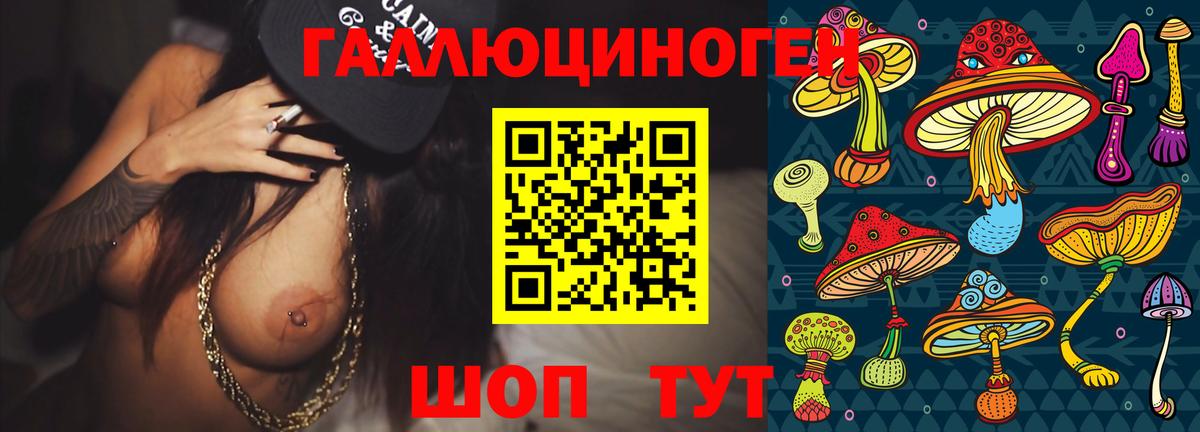Псилоцибиновые грибы Psilocybine cubensis Тамбов